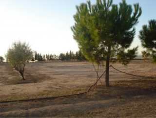 zona acampada